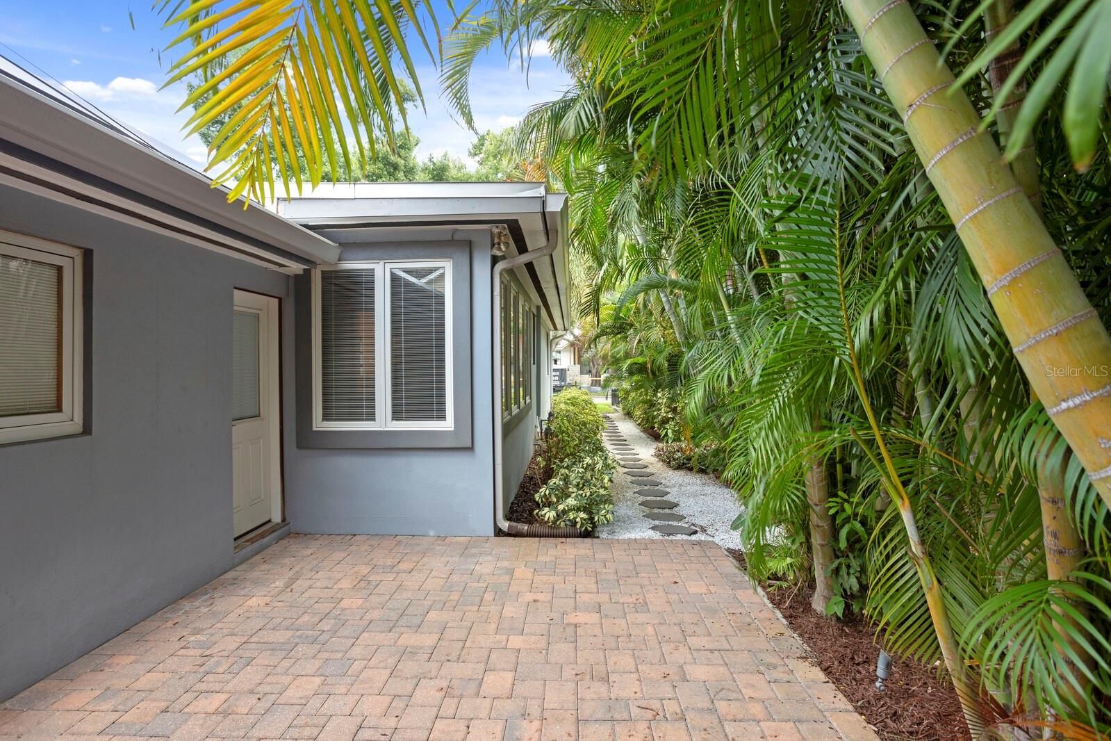 Palms provide privacy and peace
