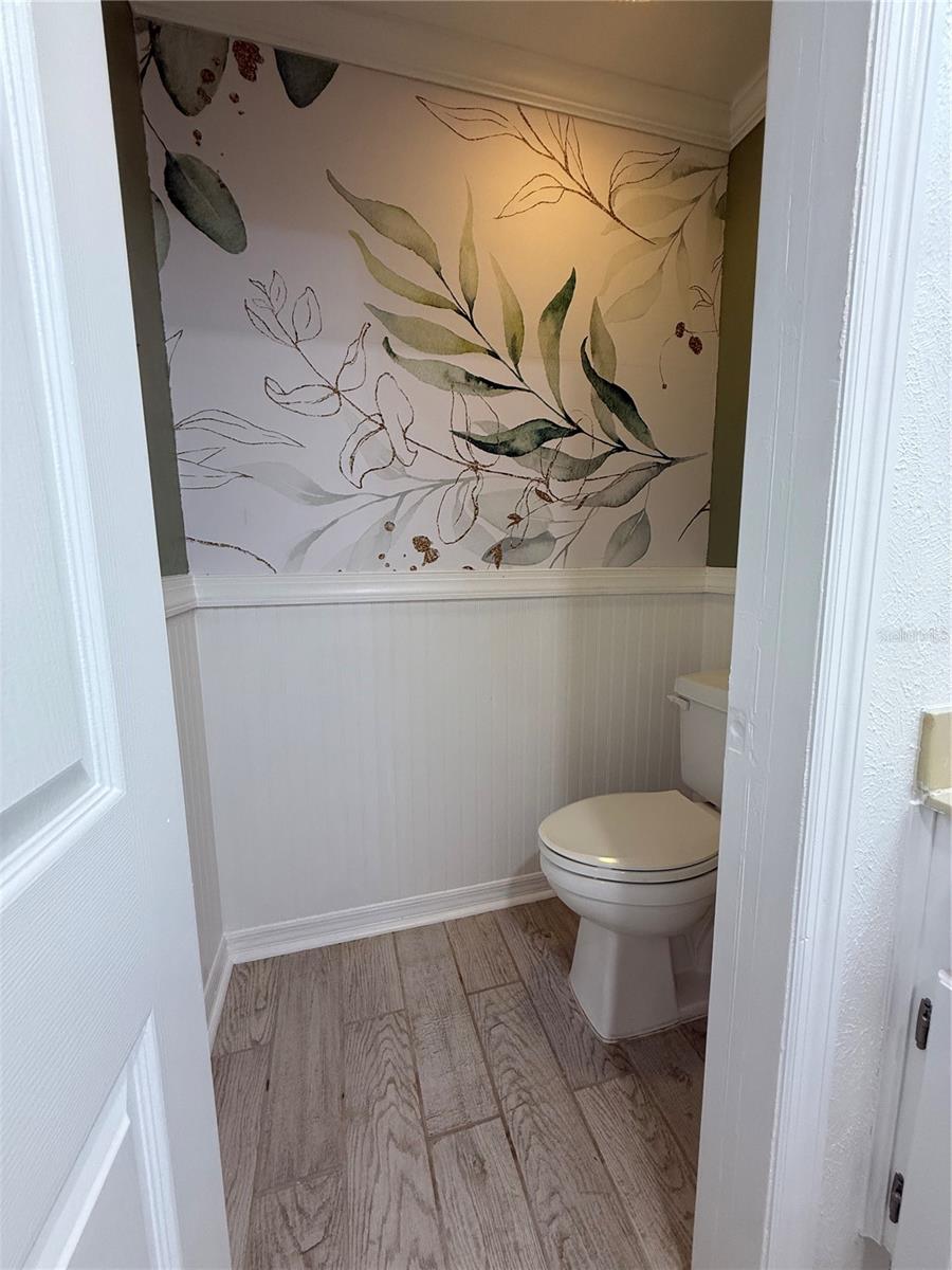 Primary toilet entry view