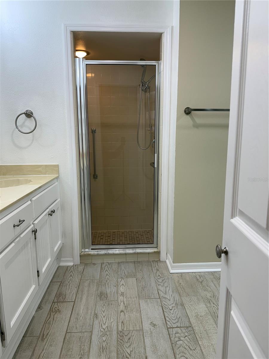 Primary Shower view from water room