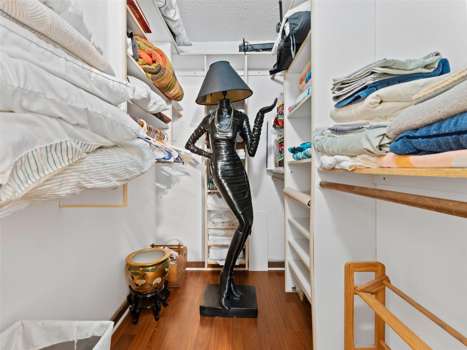 Oh, the things you find in listing photos! LOL! Great space in the walk-in closet in the primary bedroom . Built in shelves.