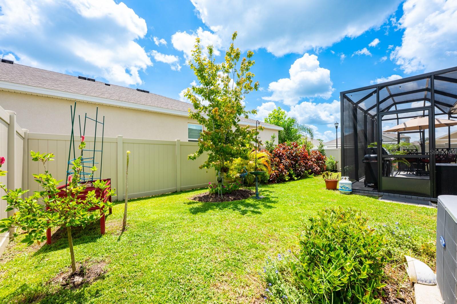 Bak patio landscape