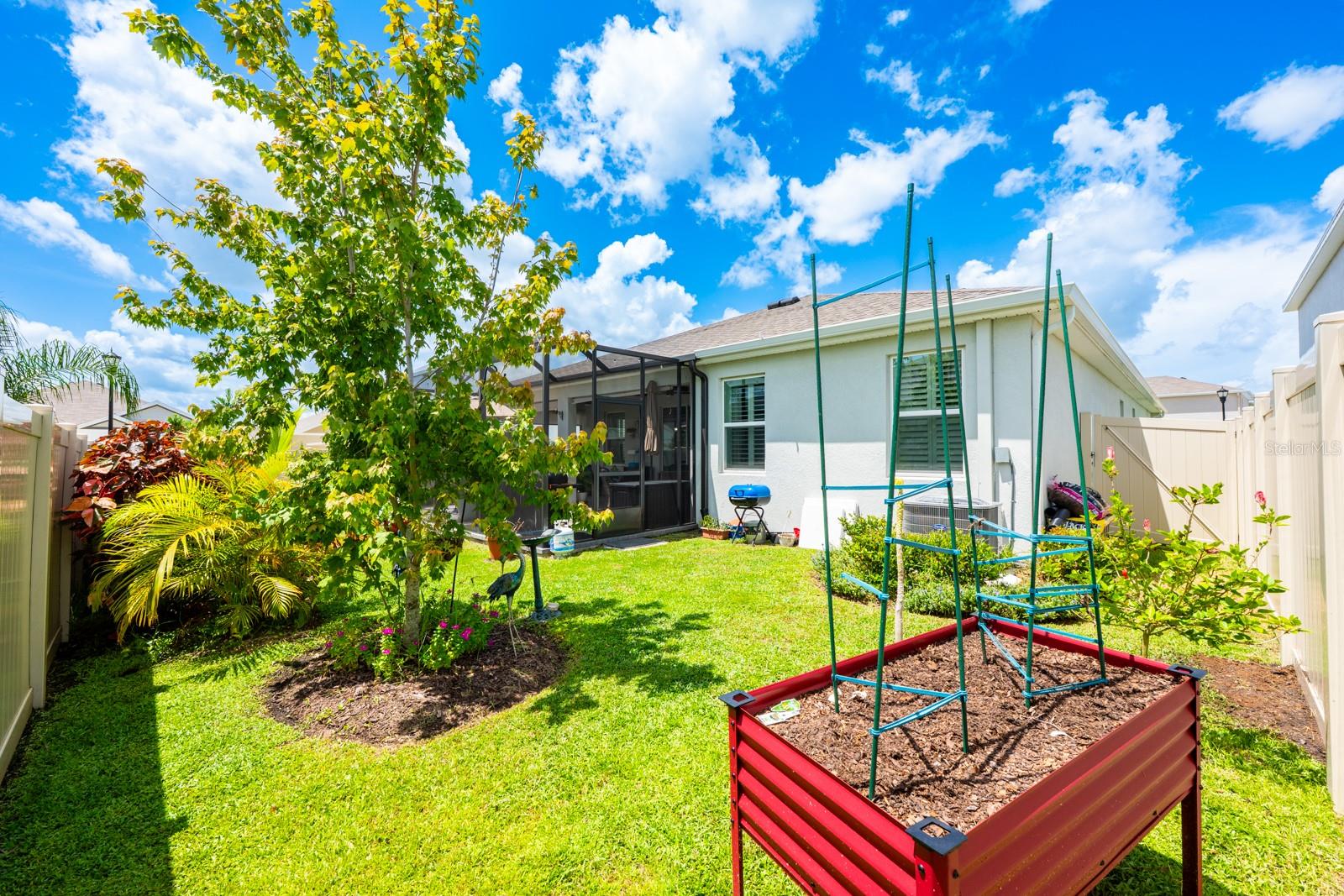 Back Patio