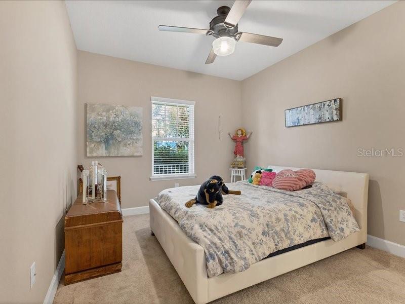 Fourth Bedroom