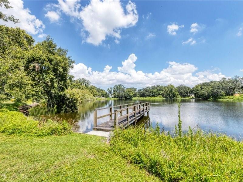 Big Lake Area In The Community