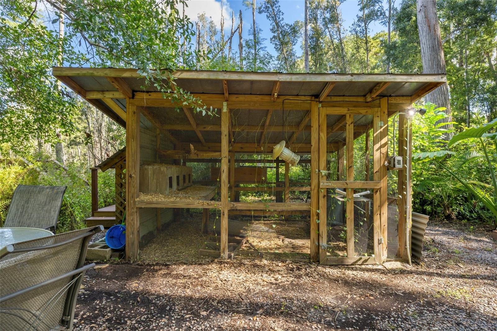 The Chicken Coop!