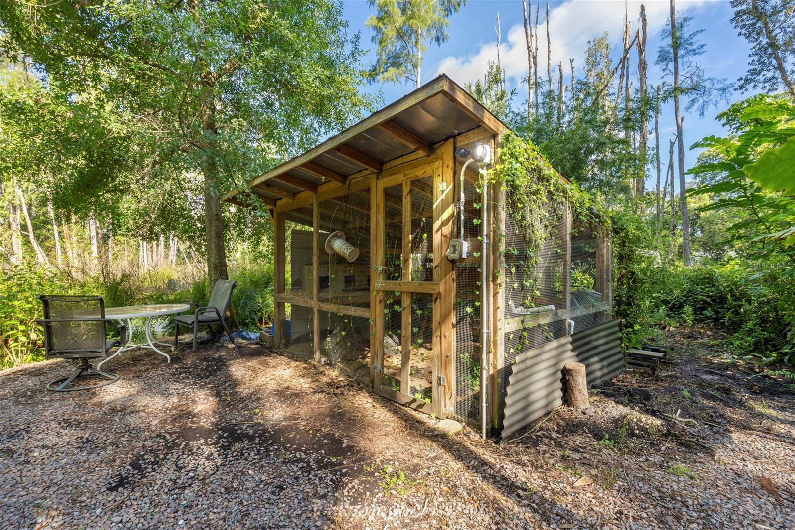 The Chicken Coop!