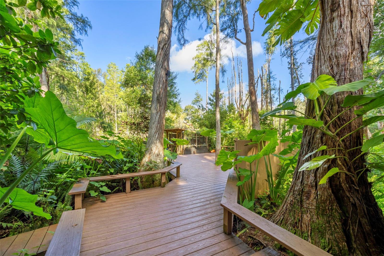 The boardwalk with trex decking!