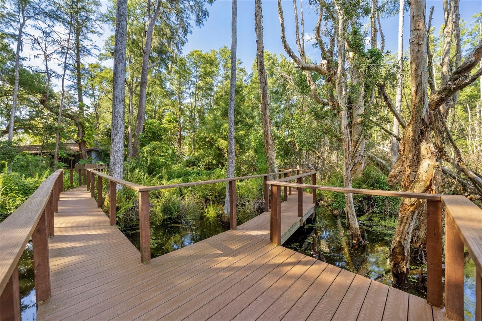The boardwalk with trex decking!
