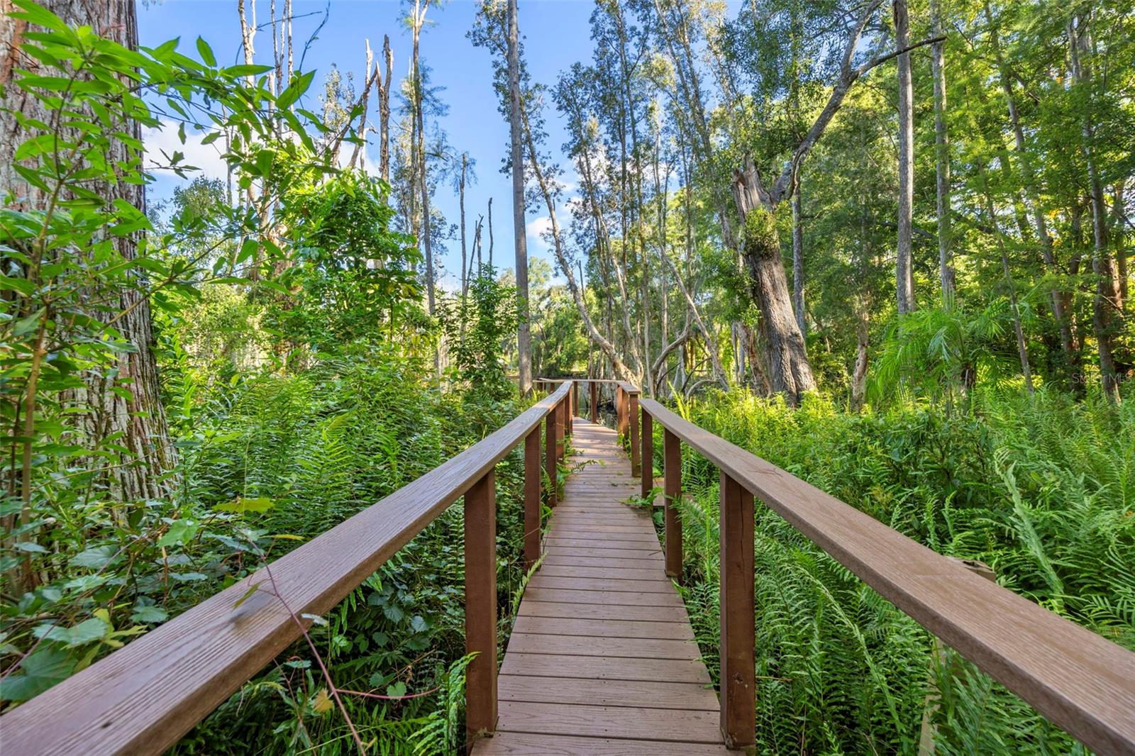 The boardwalk with trex decking!