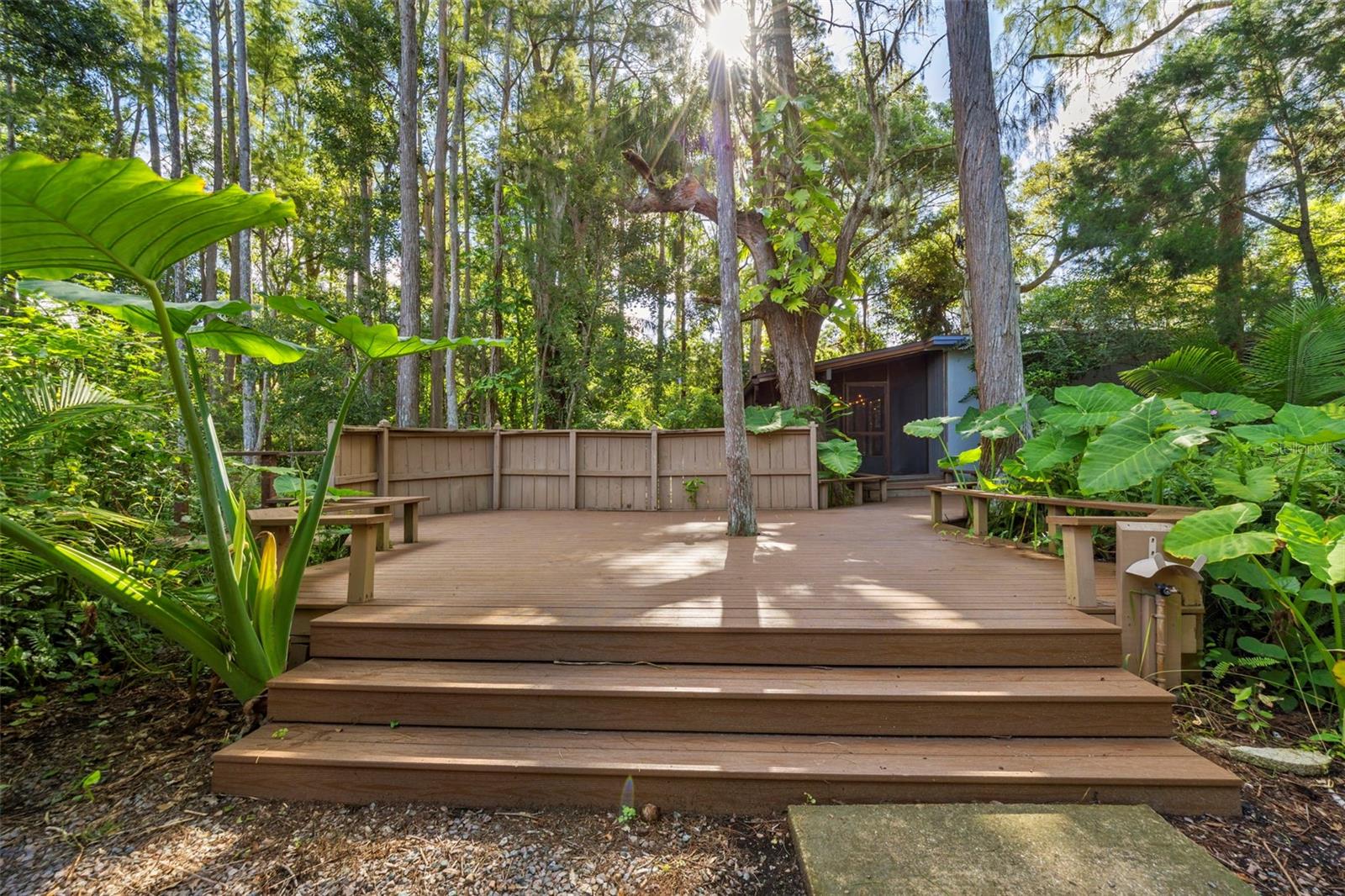 The boardwalk with trex decking!
