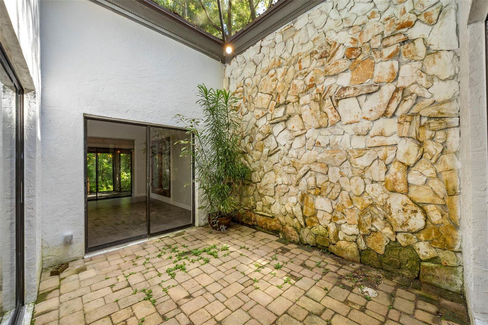 Terrarium Room! A previous seller had this wall as a water feature!
