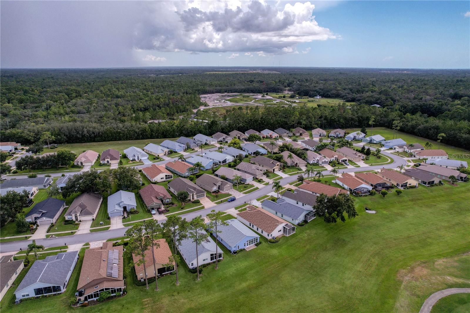 W7877906