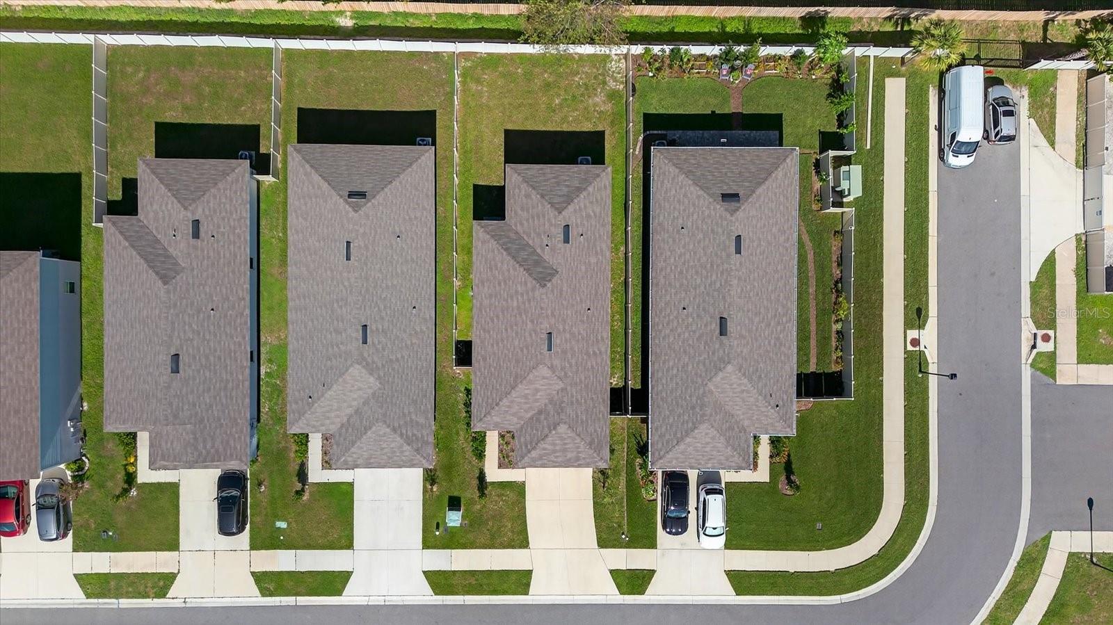 Mint Condition Roof
