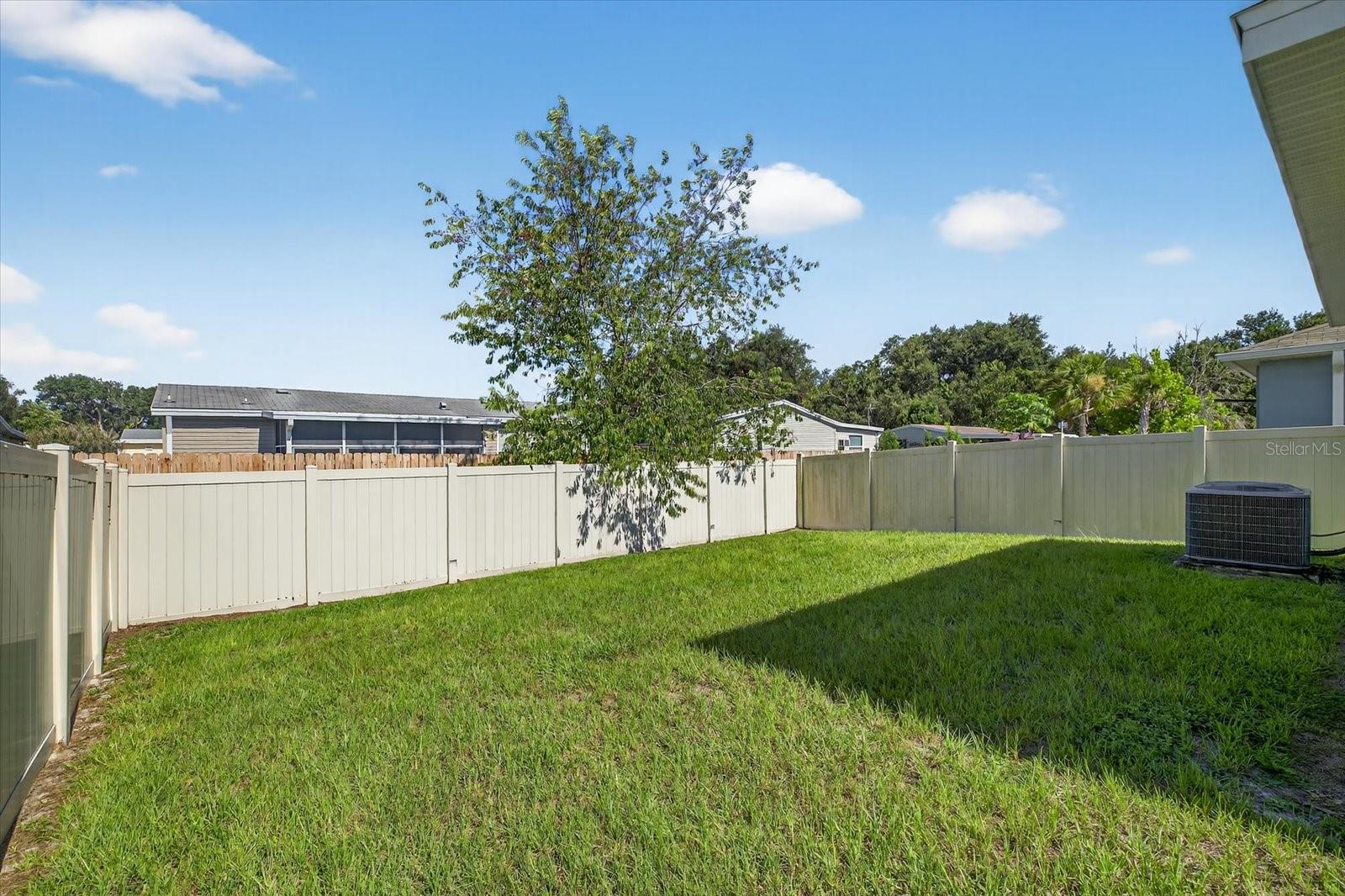 Fenced in Backyard