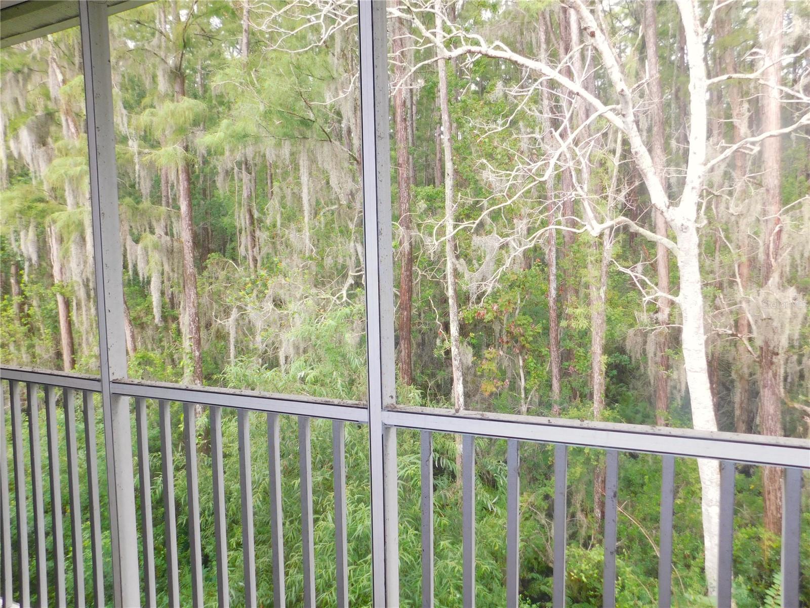 View from primary bedroom deck