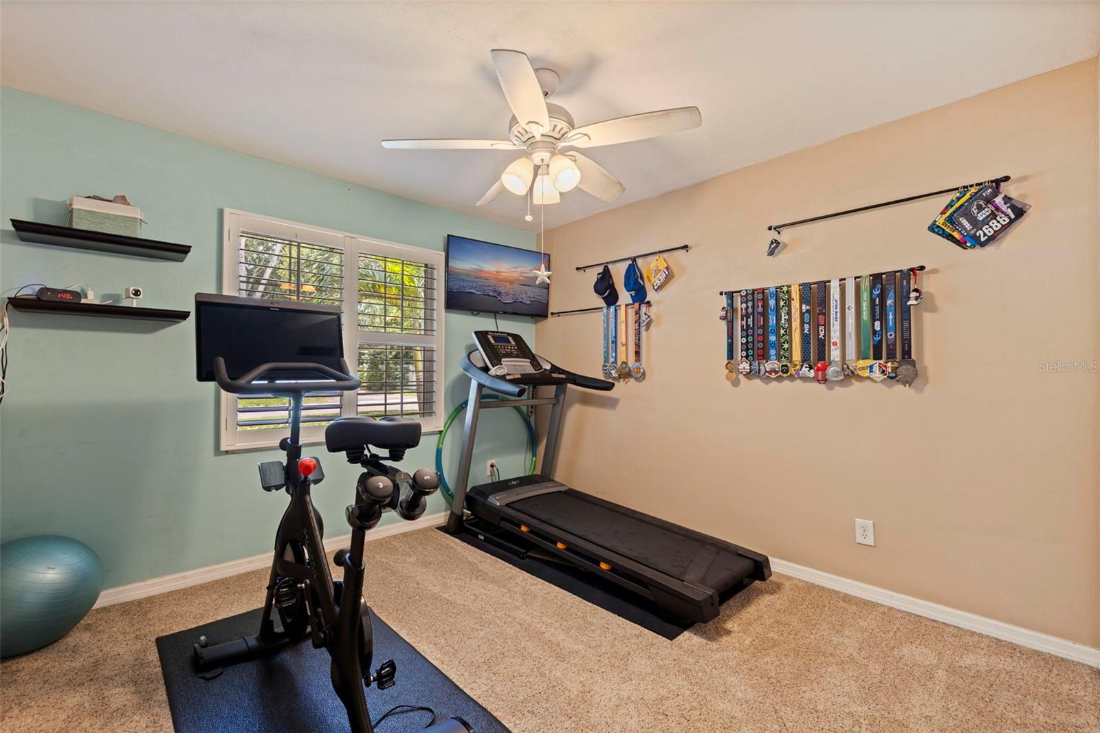 Bedroom 3 (currently home gym)