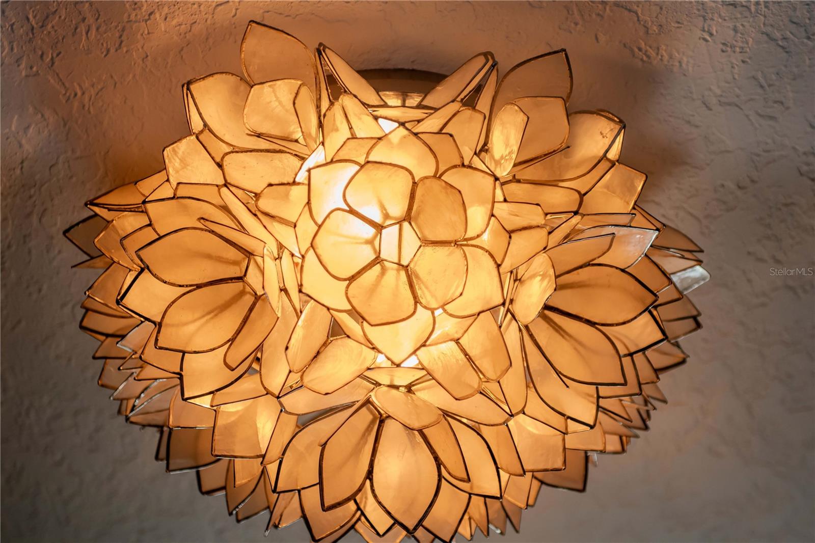 Designer Light Fixtures