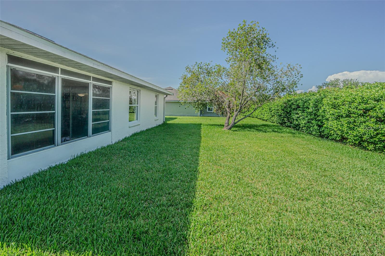 Greenscape back lawn