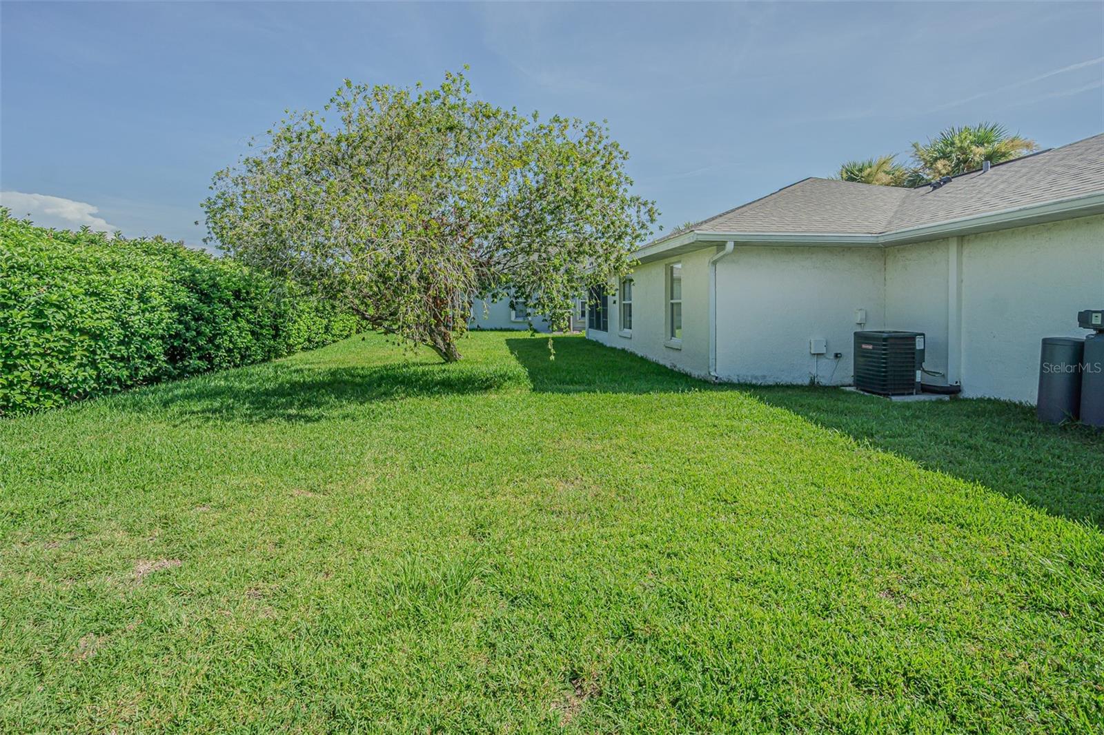 SPACIOUS backyard!