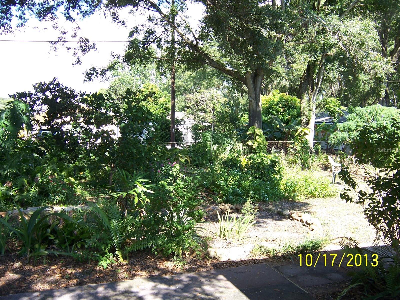Your jungle