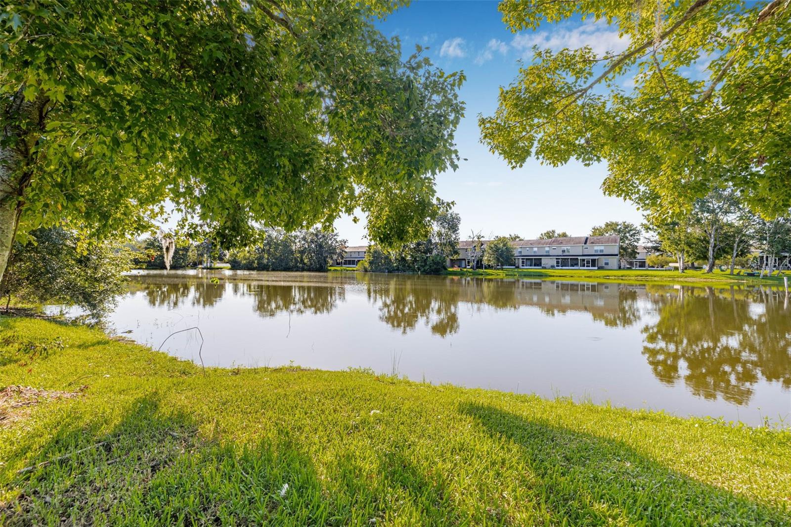 Backyard Pond View