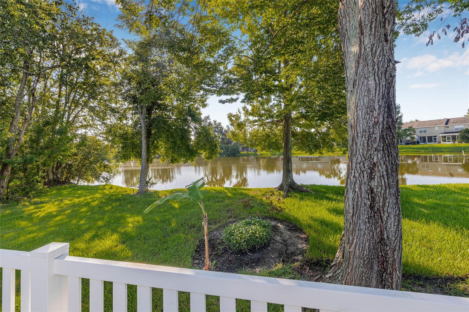 Backyard View