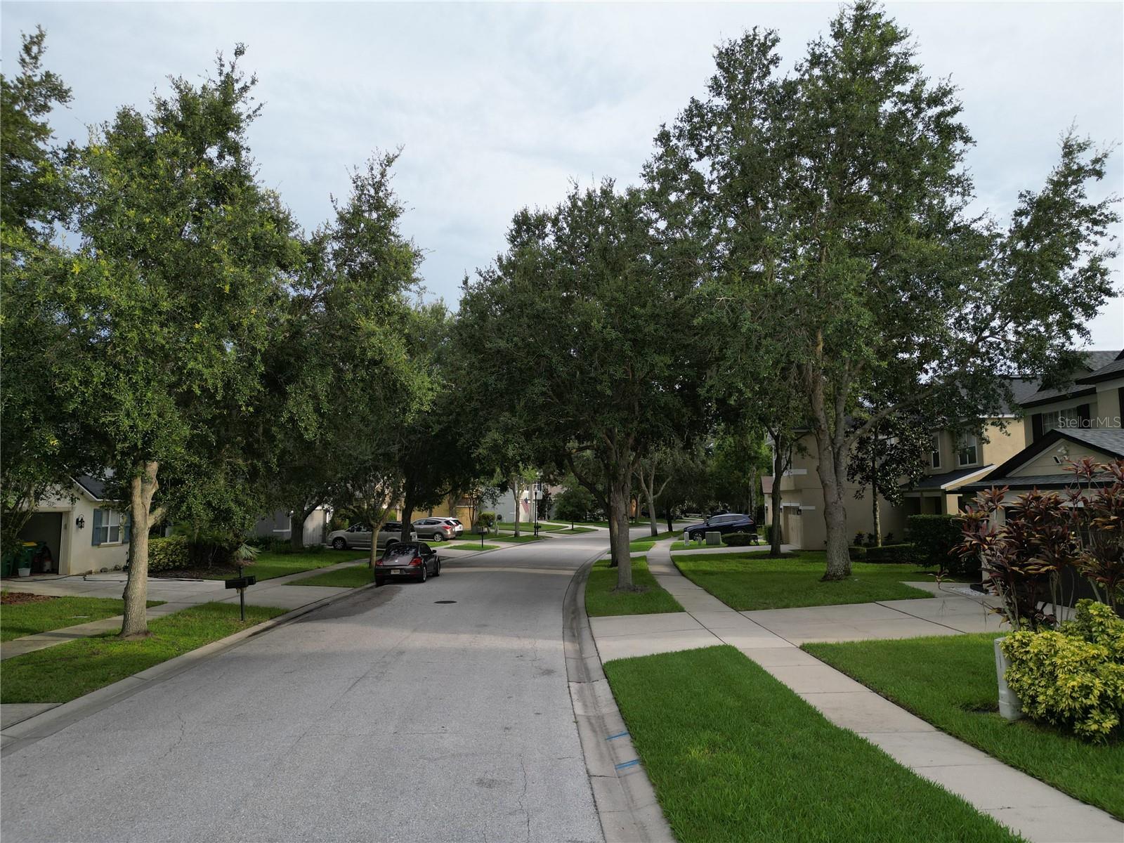 neighborhood