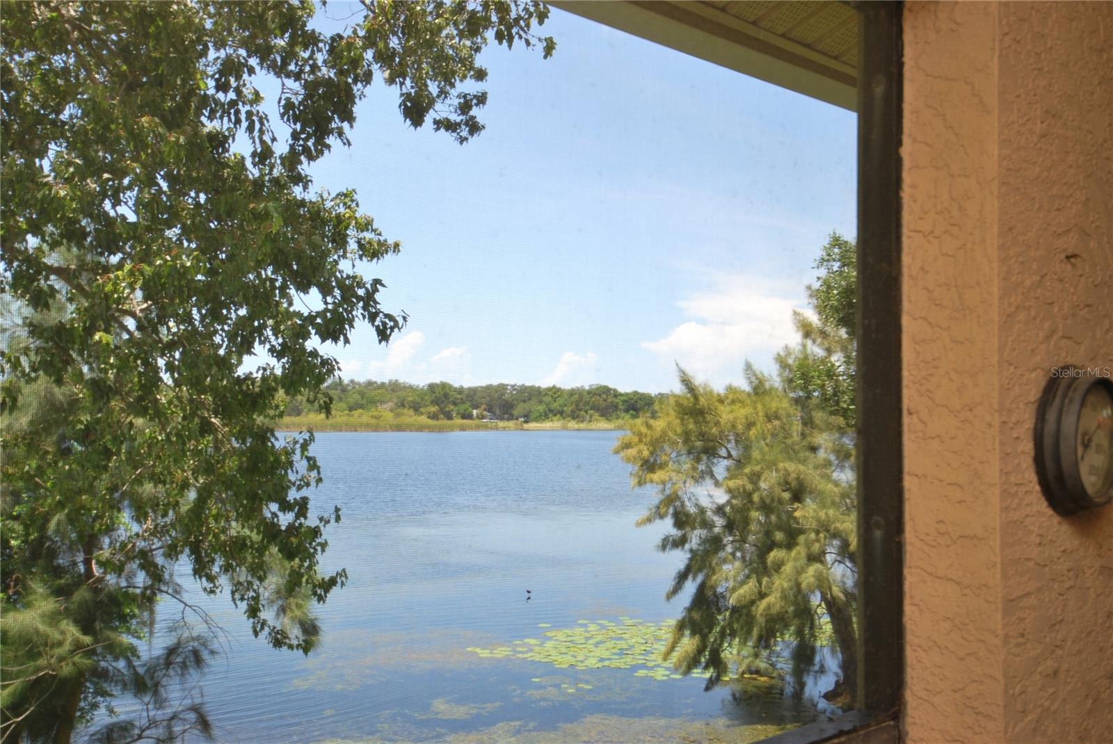 View from Porch