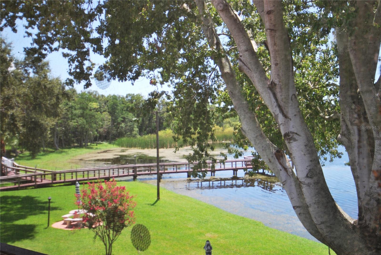 View From Porch
