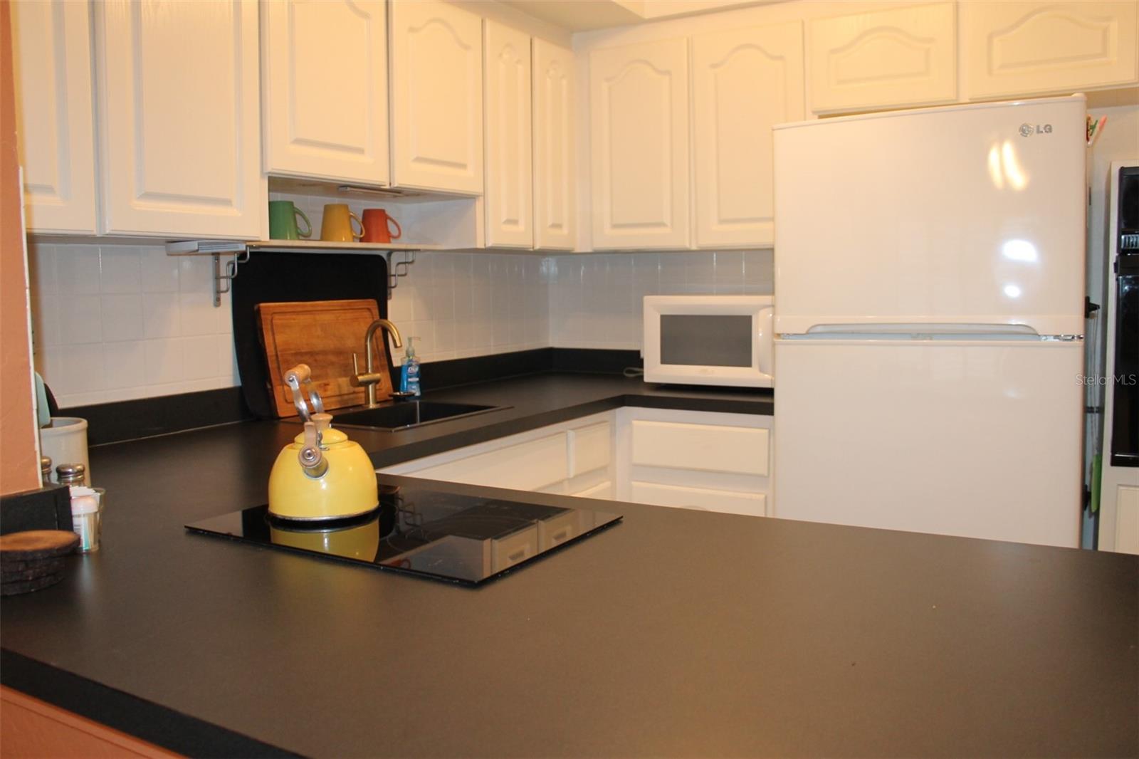 Kitchen - Newer Countertops; Cooktop; Appliances; Sink & Fixtures