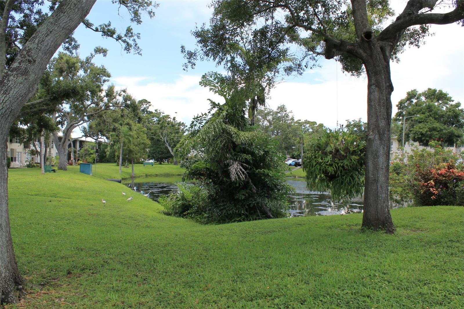 Association Grounds