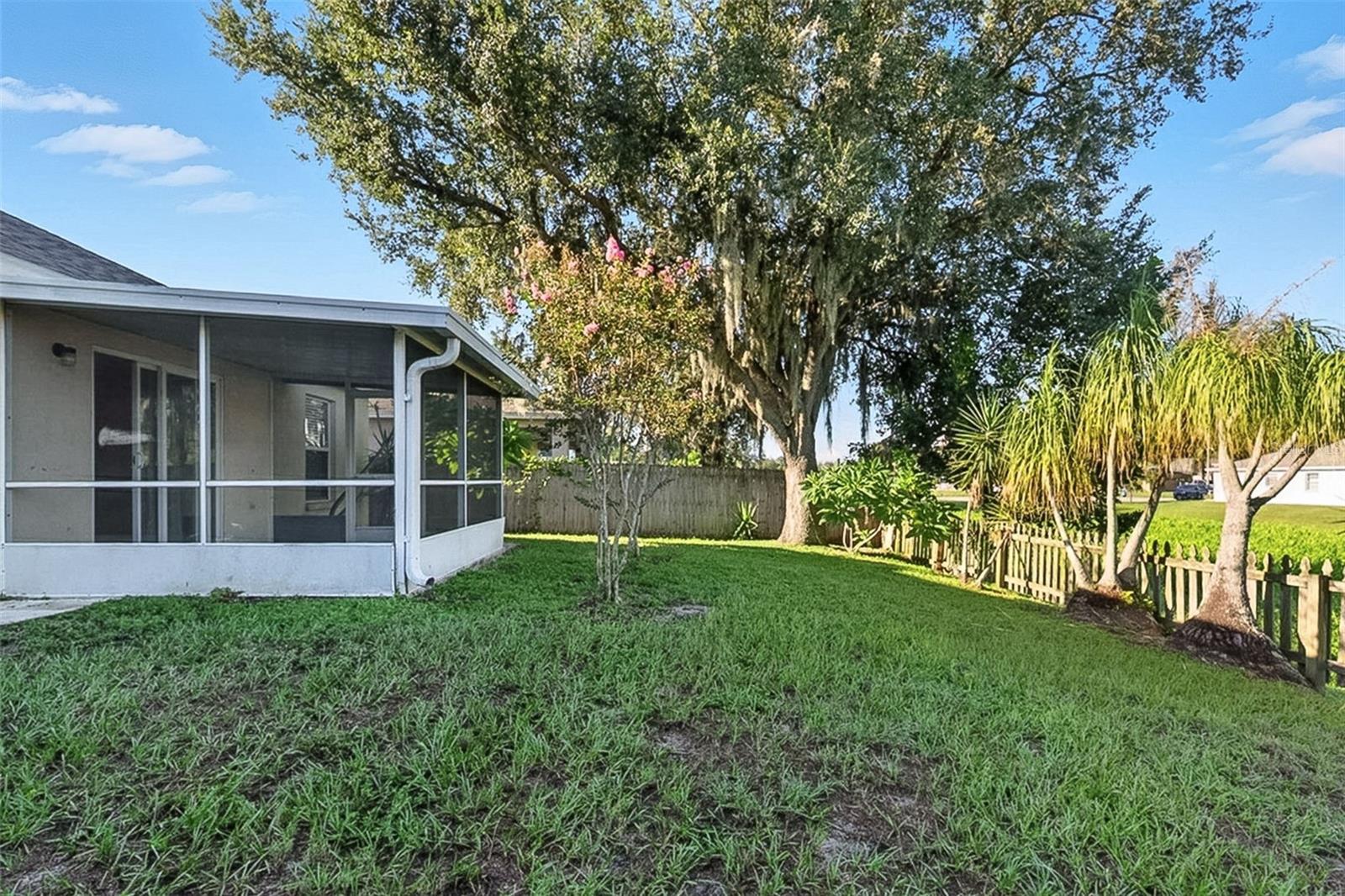 O6333562