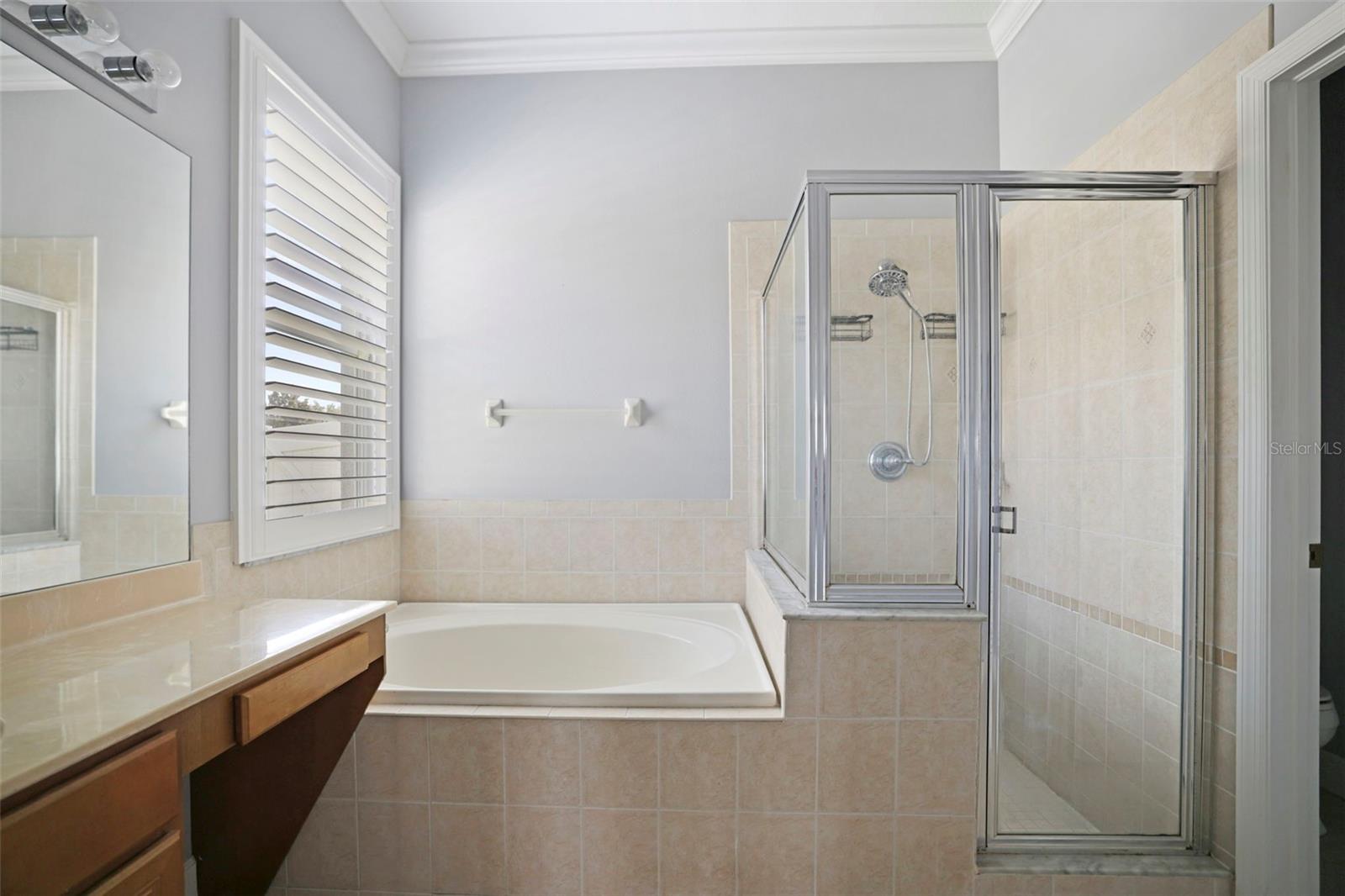 Master bathroom