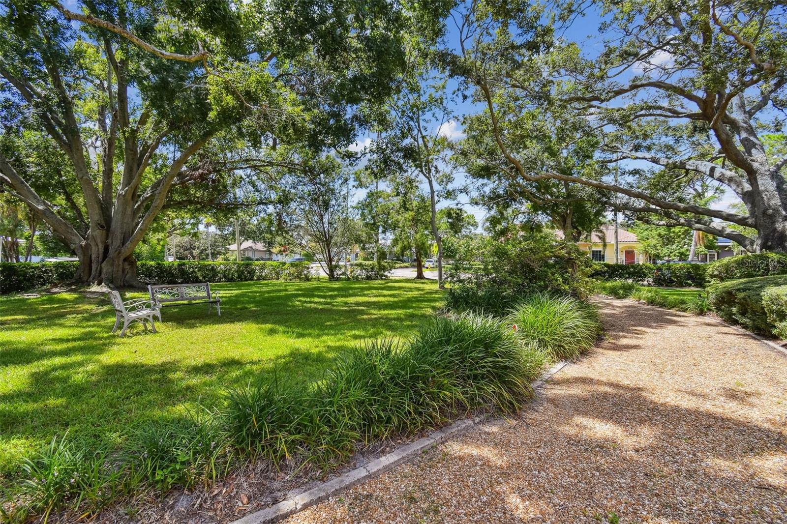Front yard. So park-like!