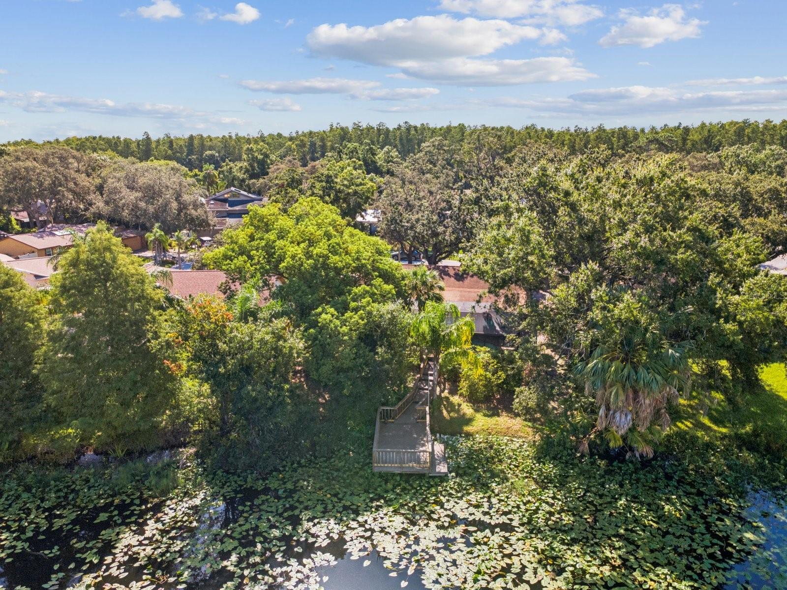 Aerial View of dock
