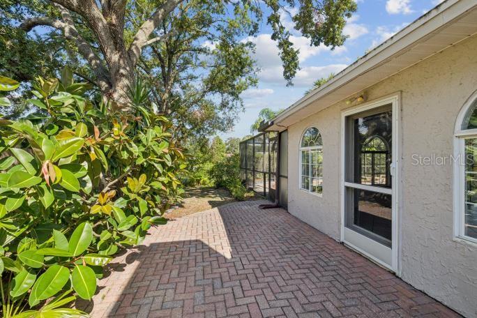 Side Yard
