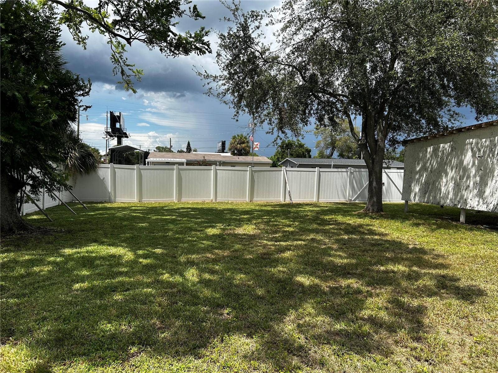 BIG BACKYARD