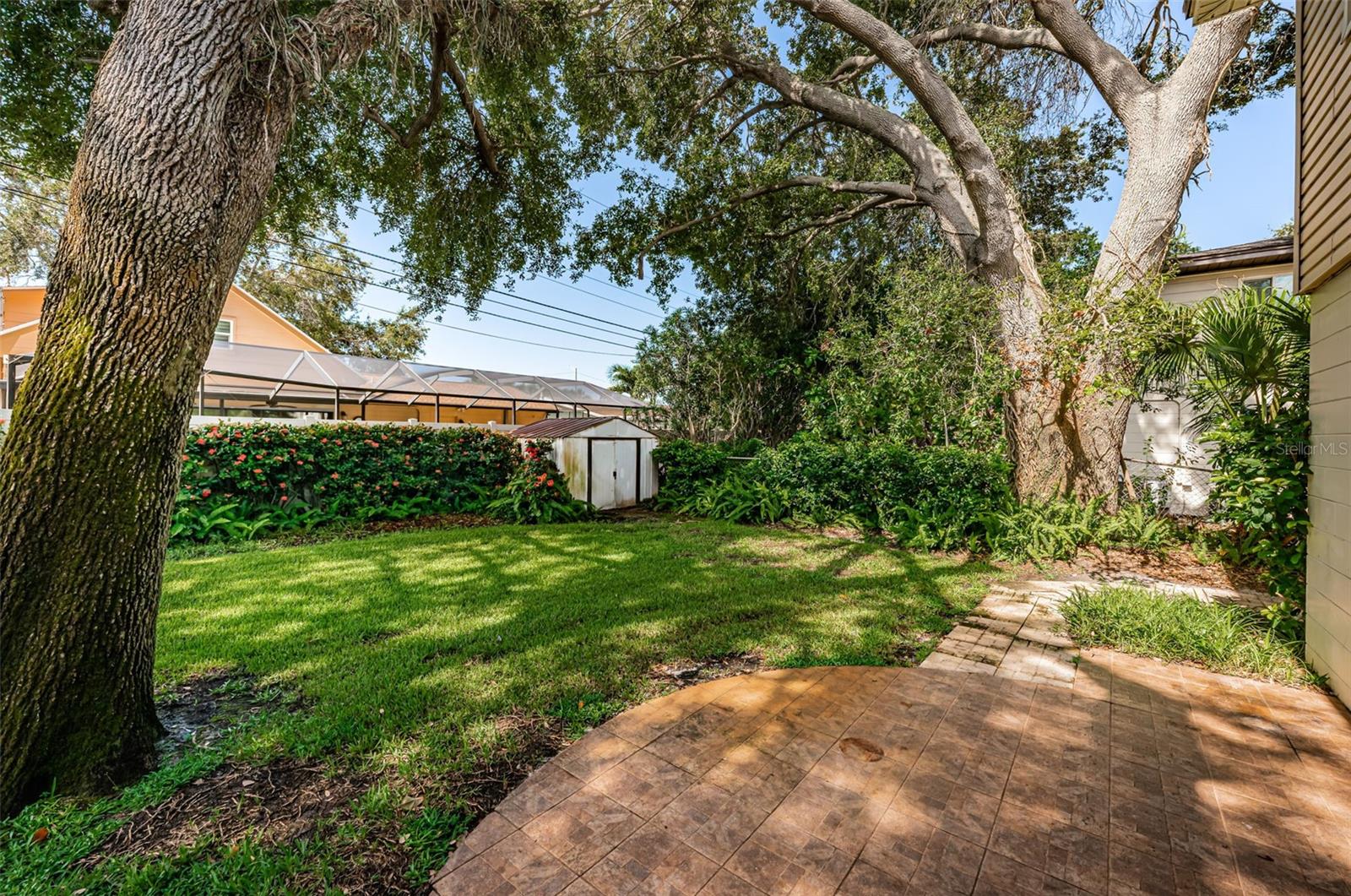 Back yard