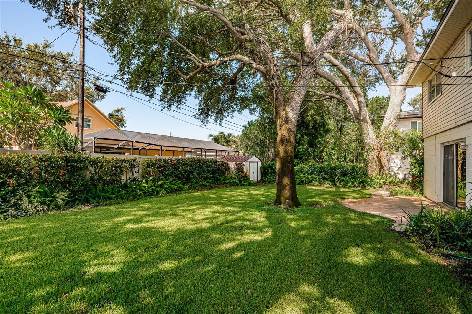 Back Yard