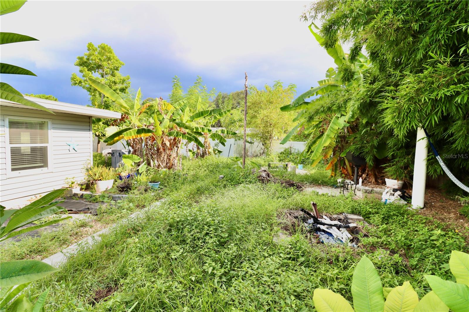 Back Fenced in Yard