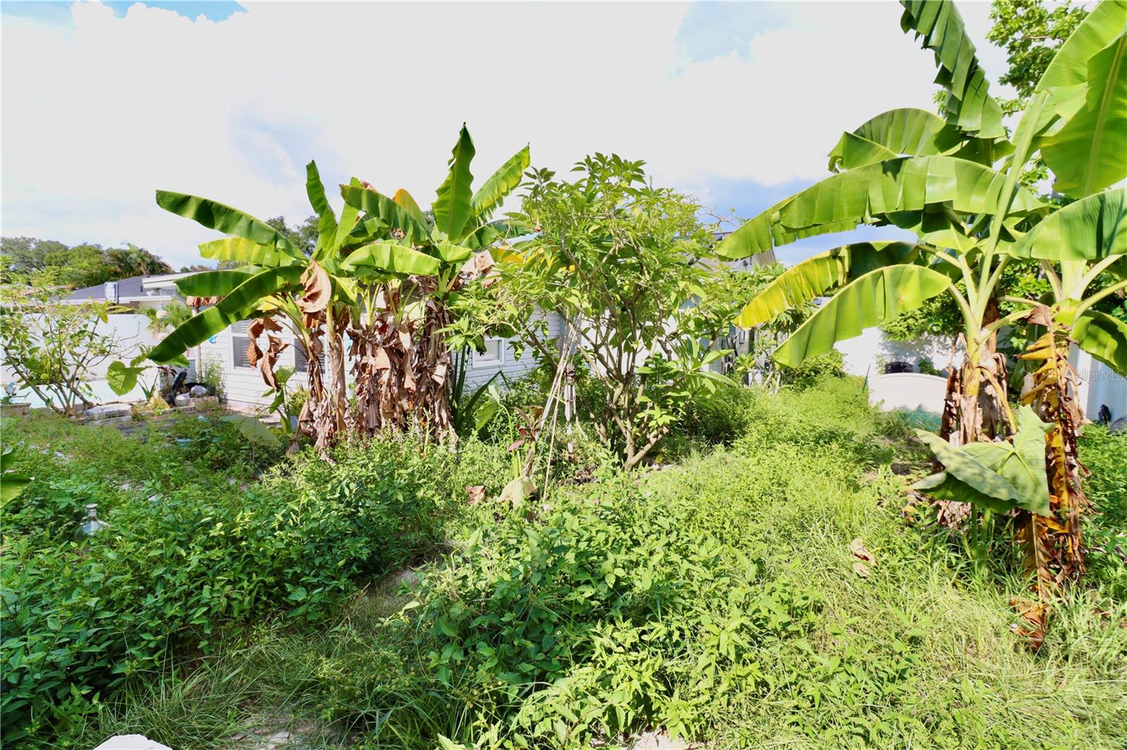 Back Fenced in Yard