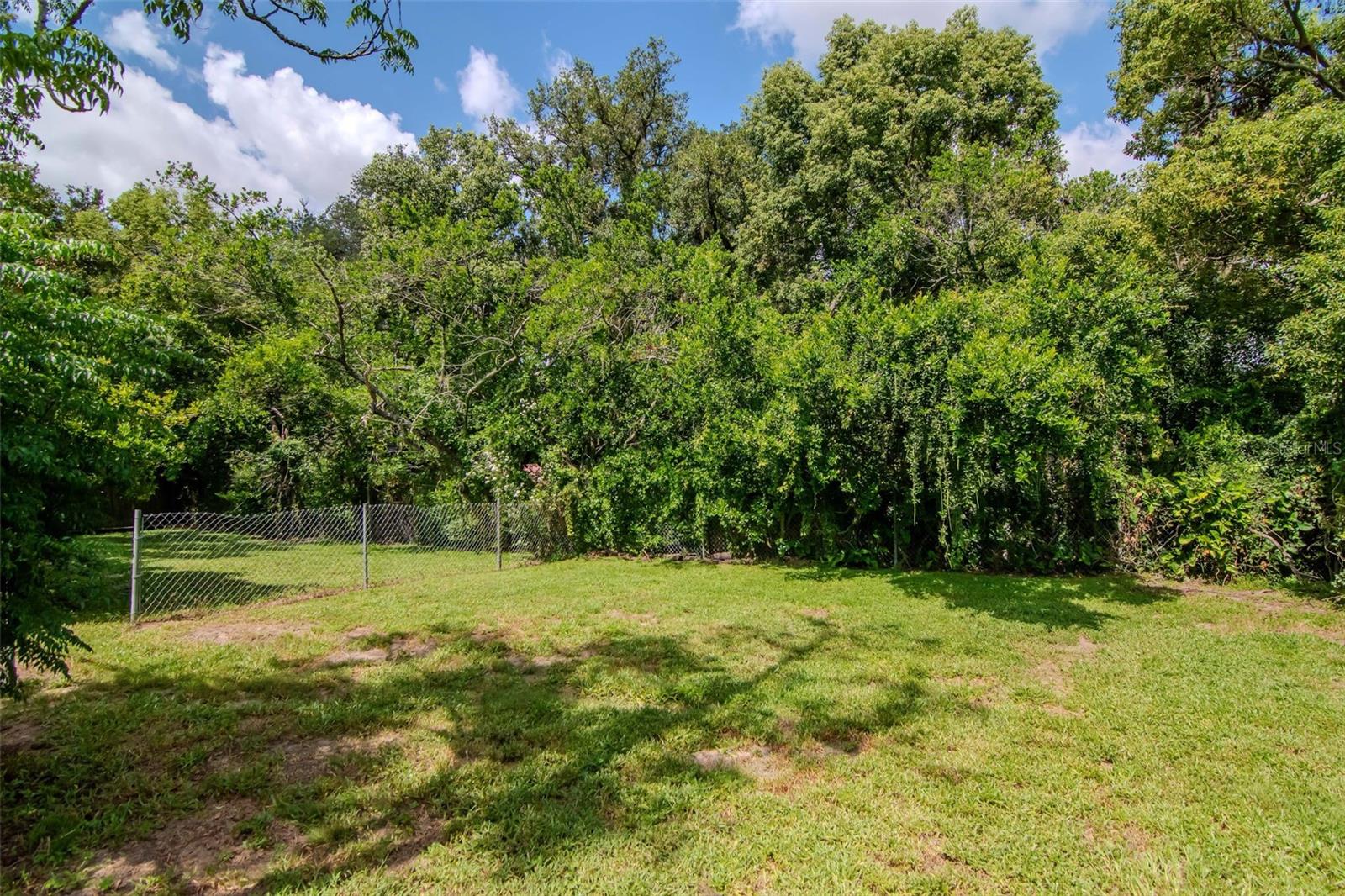 Woods behind the property for privacy and nature watching.