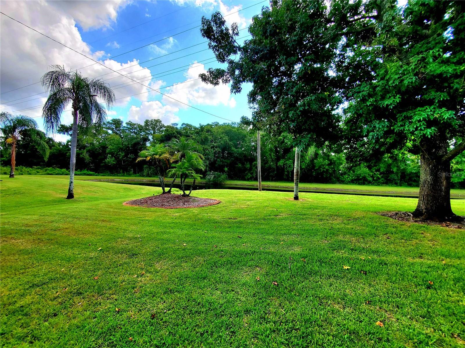 "BACK YARD"
