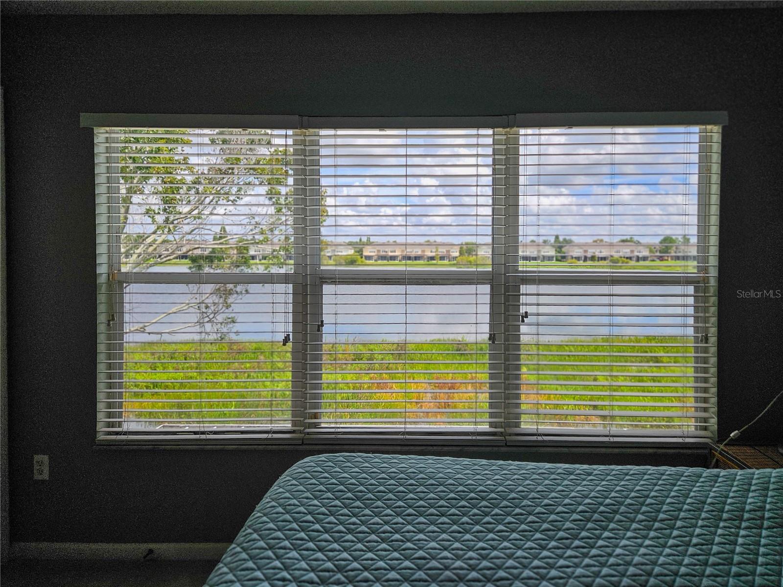 Your view as you lie in bed in the morning