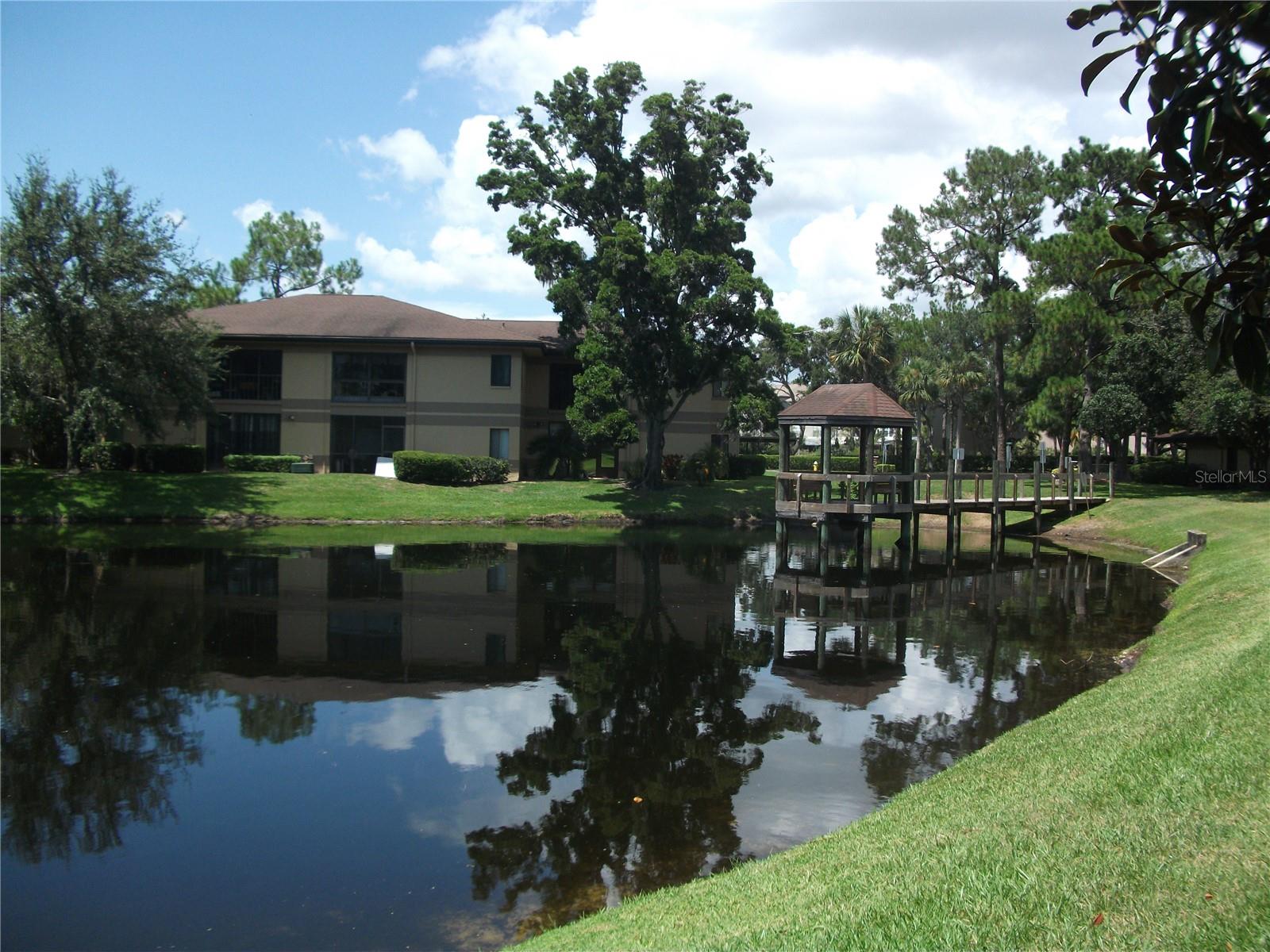 Backyard pond