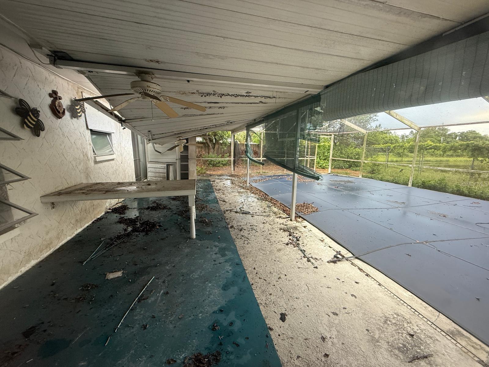 Pool & Deck