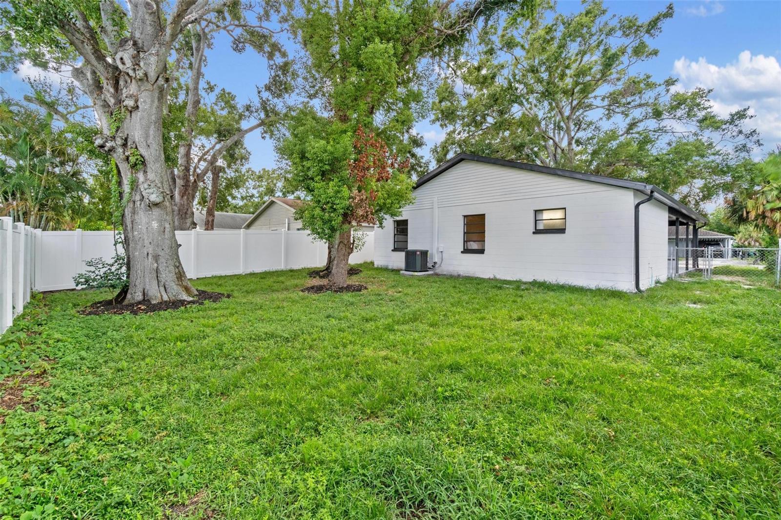 Backyard