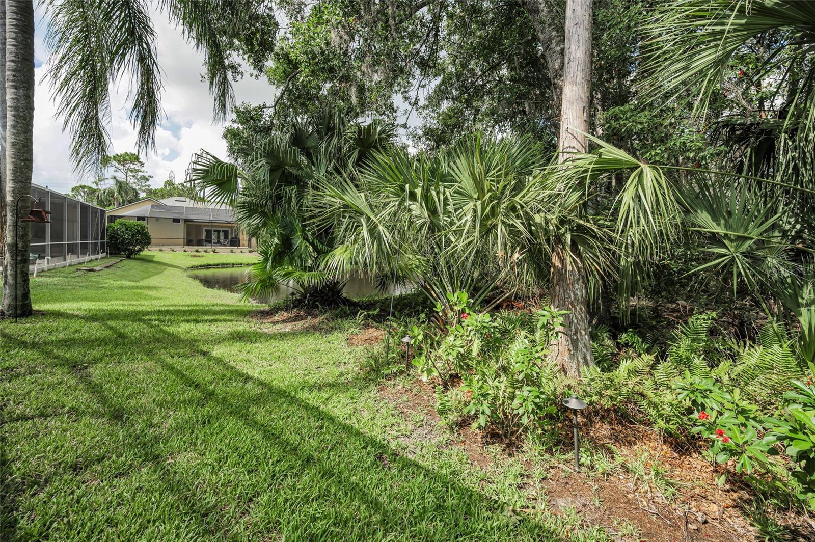 back yard