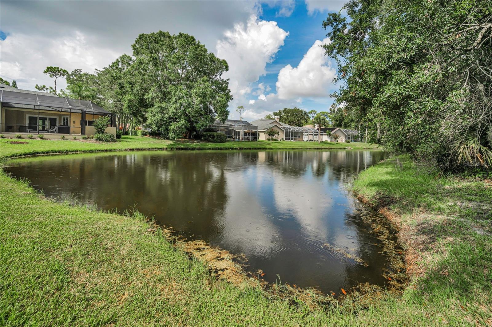 Pond