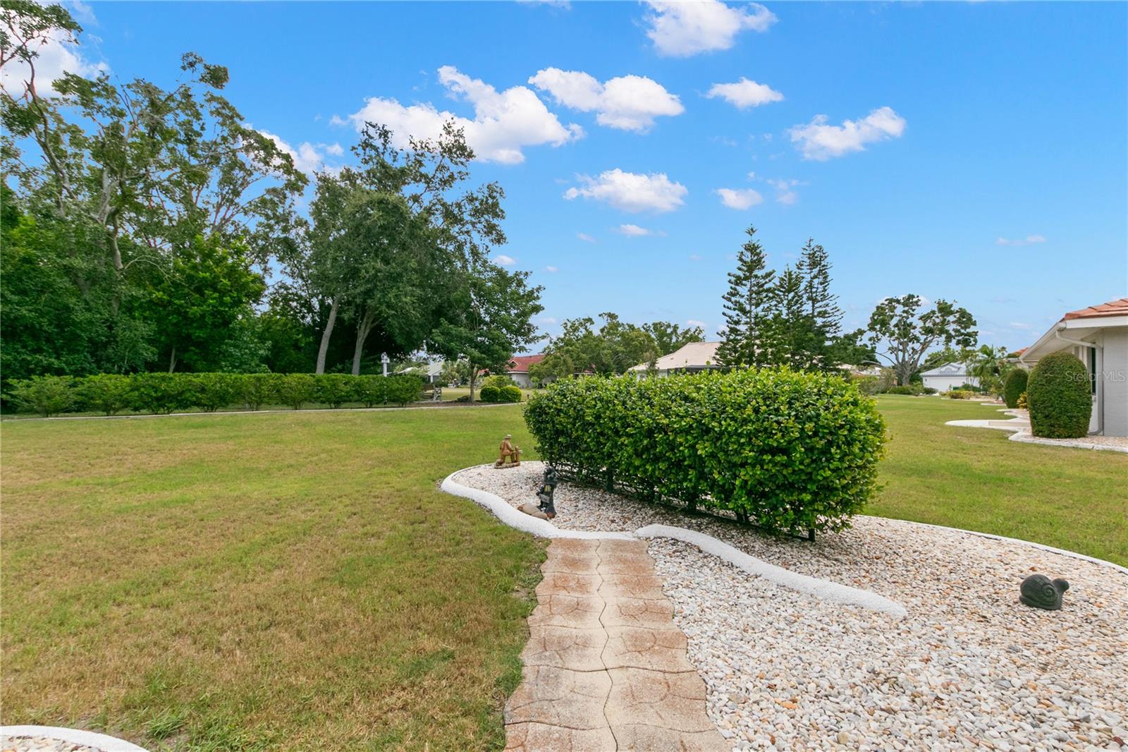 Expansive Back Yard